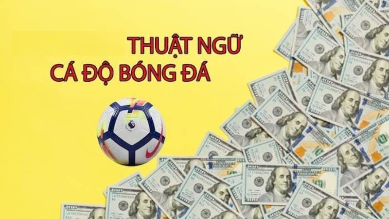 Những thuật ngữ cá độ bóng đá thông dụng hiện nay