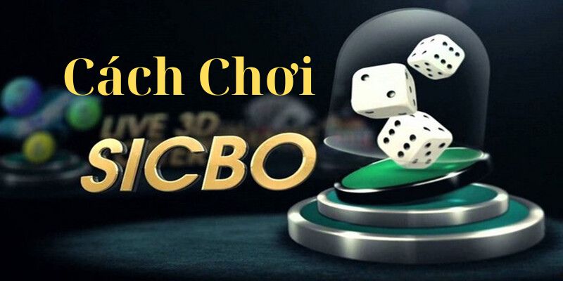 9 Mẹo Chơi Sicbo Được Tổng Hợp Từ Nhiều Cao Thủ Tại 68gamebai